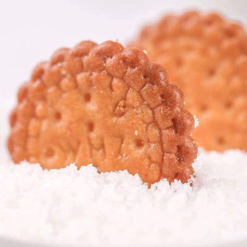 100g Milk Salt Flavored Round Cracker